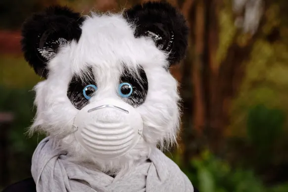 BitReels Casino Podrška